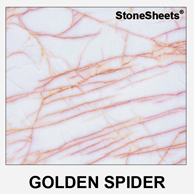 Golden Spider